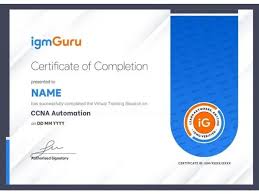CCNA Automation (200-901) Training & Exam Prep - formerly DevNet Associate certificate sample