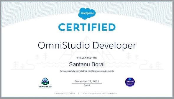Salesforce OmniStudio Developer Certification Training - FlexCards, OmniScripts & DataRaptors certificate sample