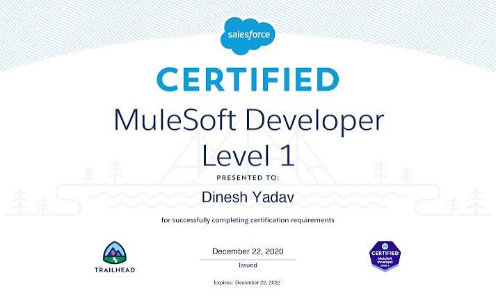 Salesforce MuleSoft Integrations Foundations Training (Mule-101) certificate sample